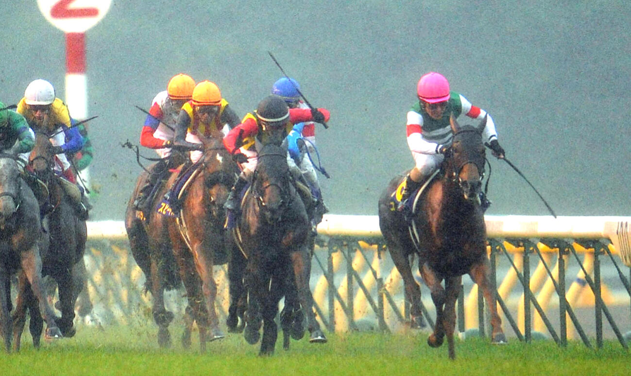 11年オークス2着に入ったピュアブリーゼと柴田善臣騎手（右）。中央は勝ったエリンコート