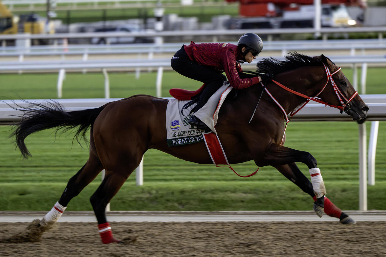 坂井騎手を背に追い切るフォーエバーヤング（C）NYRA