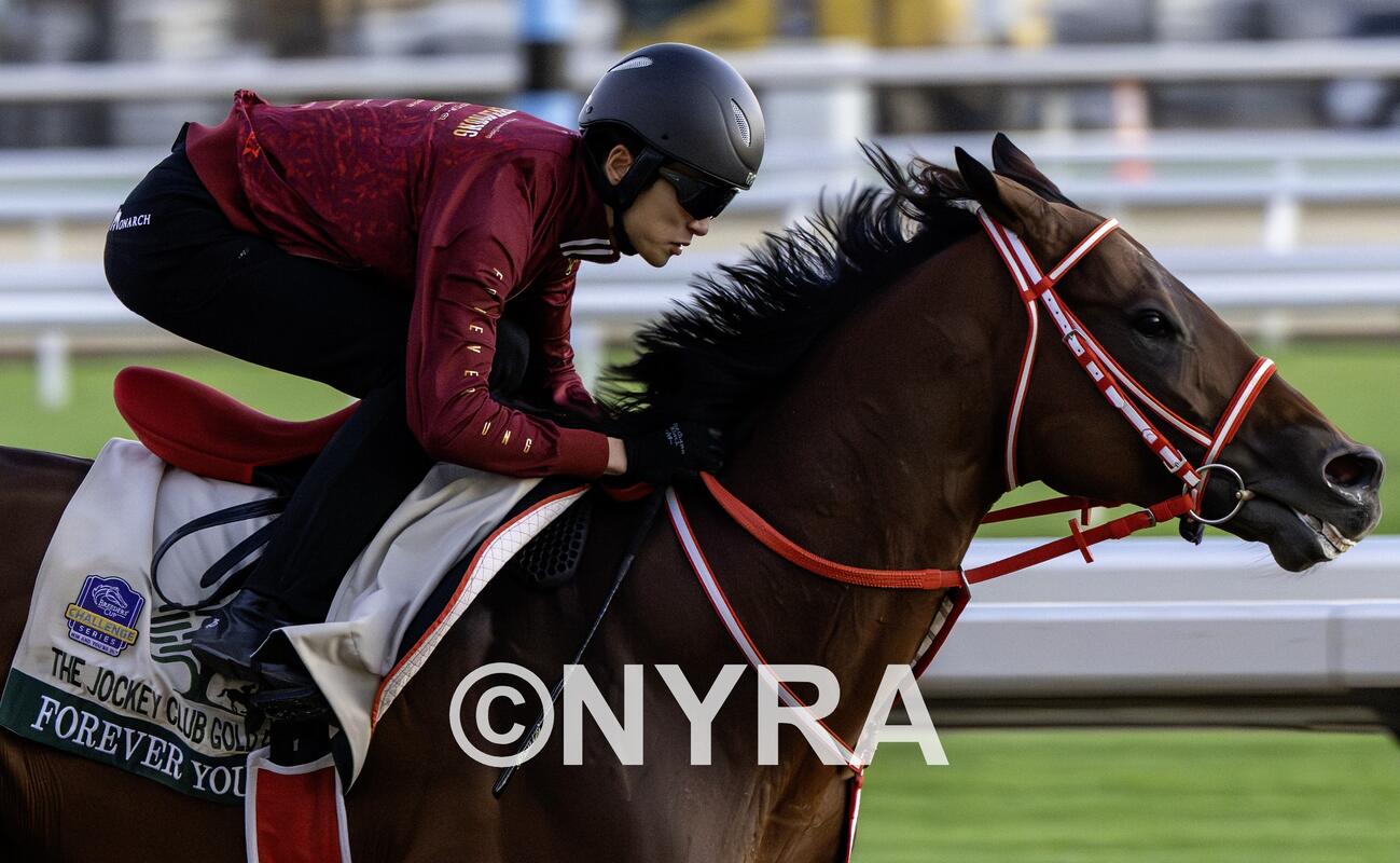 坂井騎手を背に追い切ったフォーエバーヤング（C）NYRA