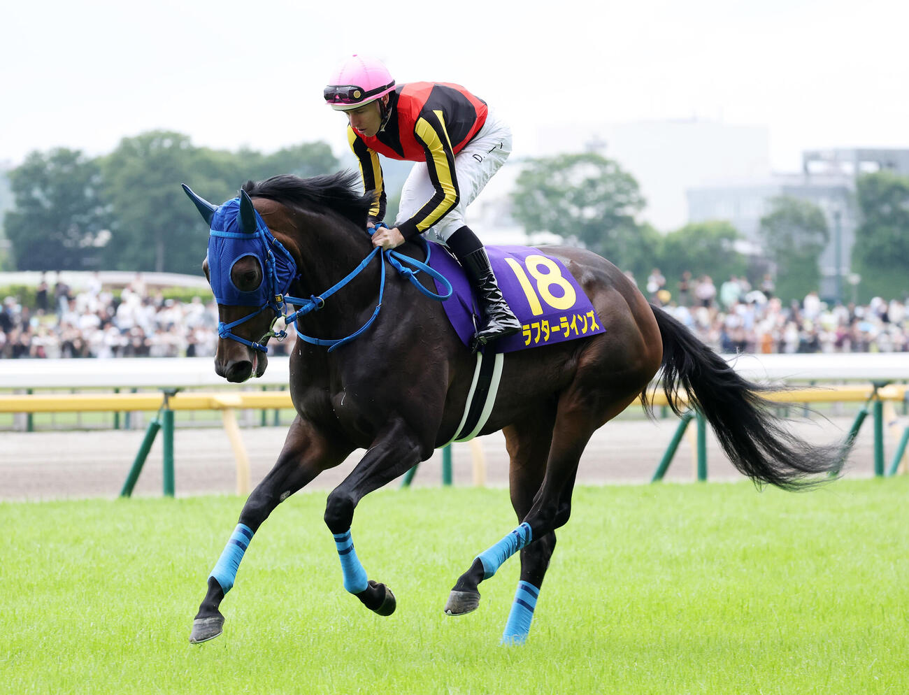 ラフターラインズ（2026年5月撮影）