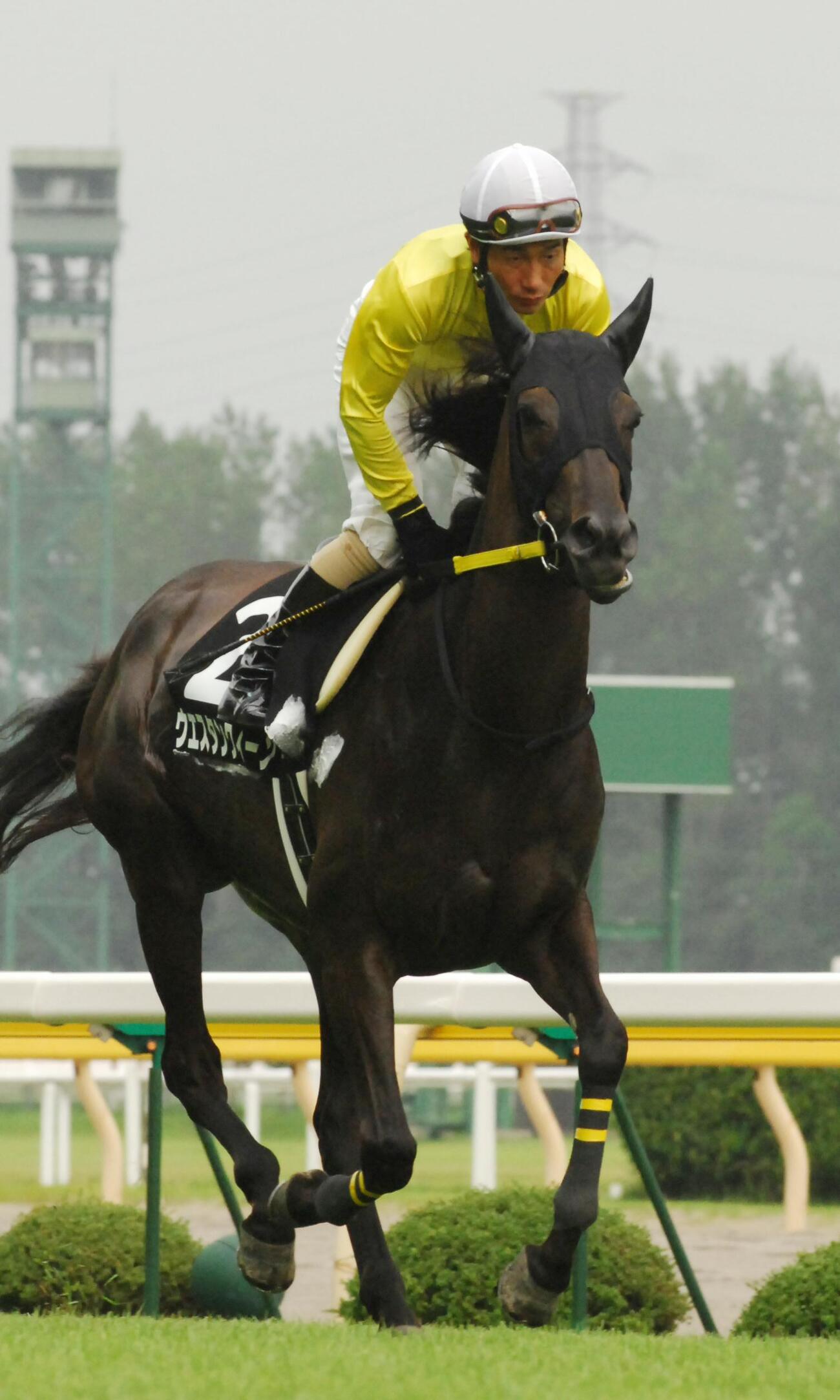 西川賢会長の愛馬ウエスタンクィーンに騎乗する柴田善臣騎手（2007年7月撮影）