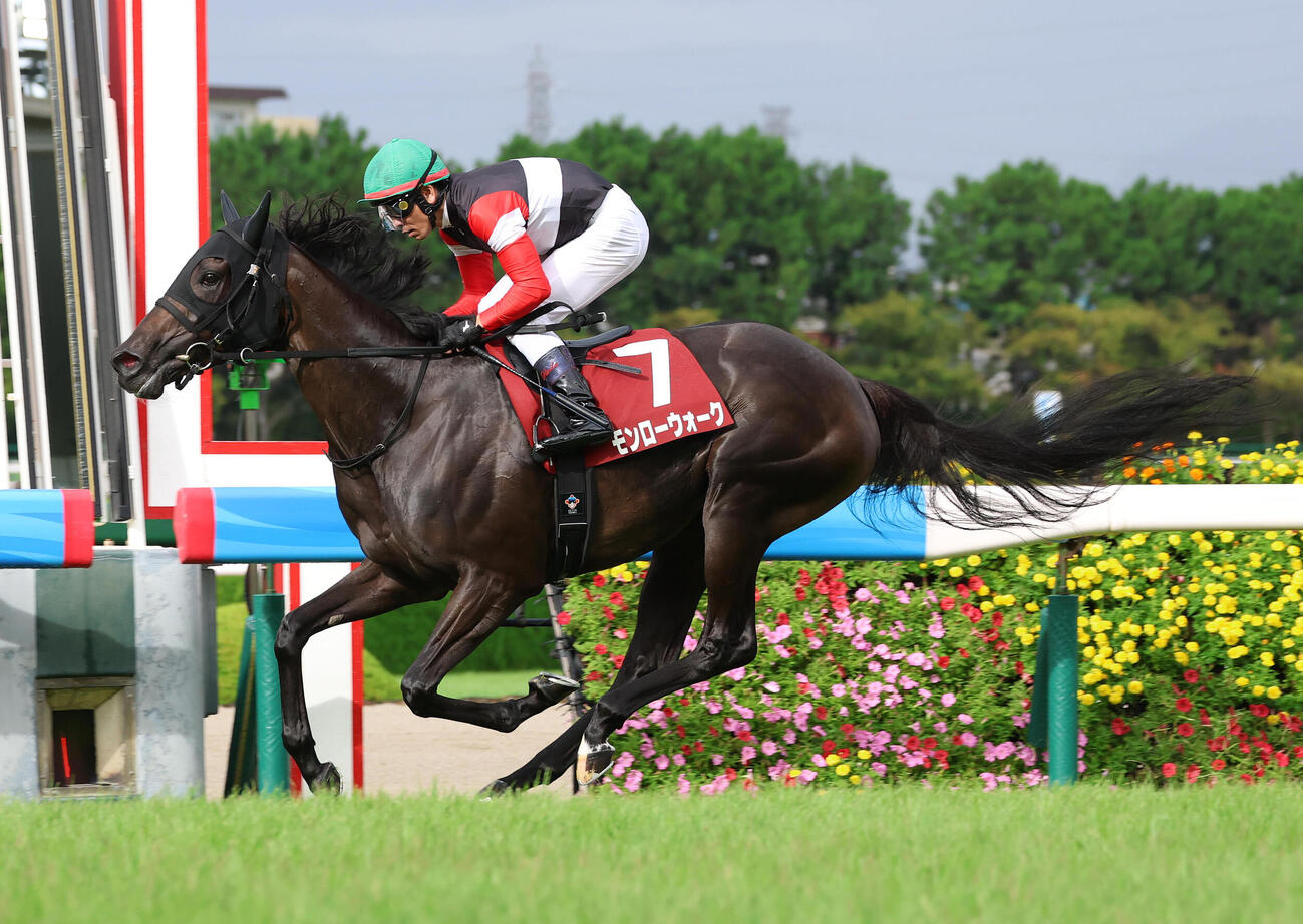 無敗でローズSを快勝したモンローウォーク（2026年9月13日撮影）