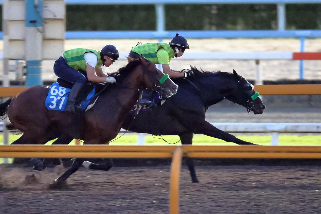 CWコース併せ馬に先着するロブチェン（右）