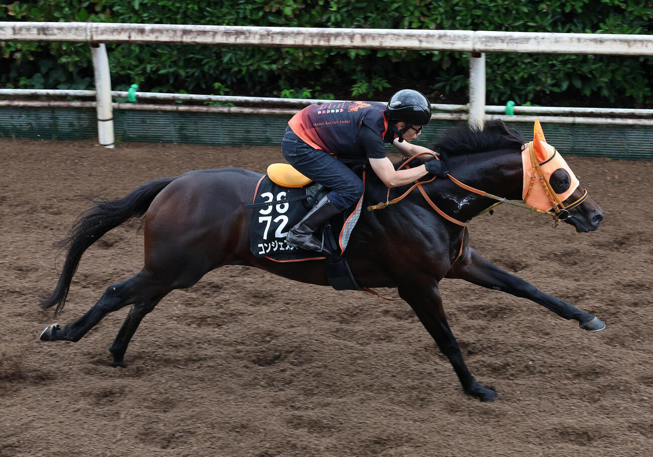 坂路を単走で追い切るコンジェスタス（撮影・白石智彦）