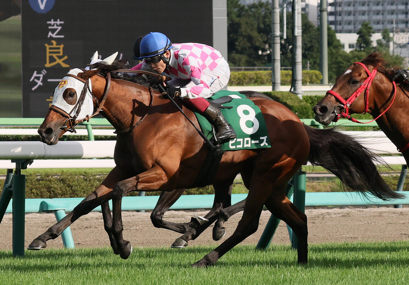 京成杯AHを制したピコローズと三浦皇成騎手（2026年9月5日撮影）