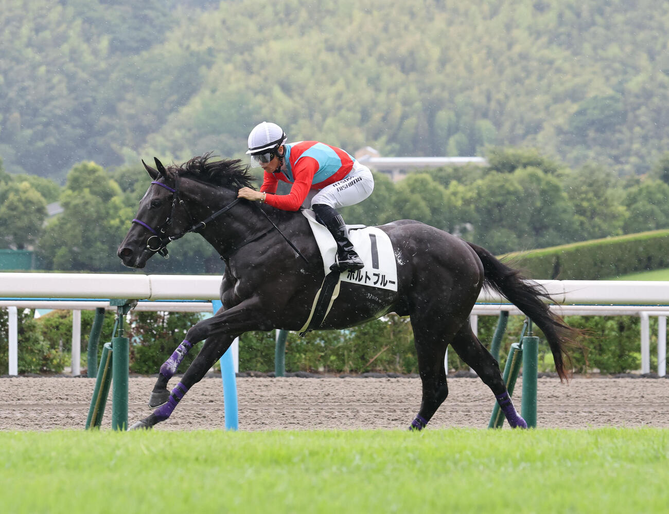 ポルトブルー（2026年7月撮影）