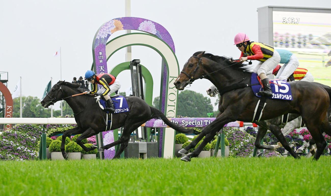 天皇賞・春を制したクロワデュノール（2026年5月3日撮影）