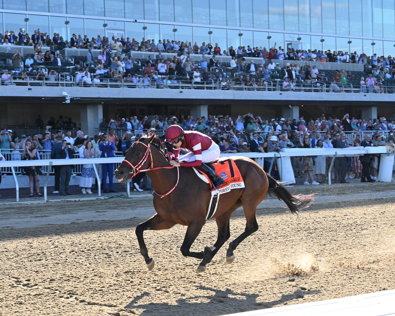 ジョッキークラブゴールドCをフォーエバーヤングが制した（C）NYRA