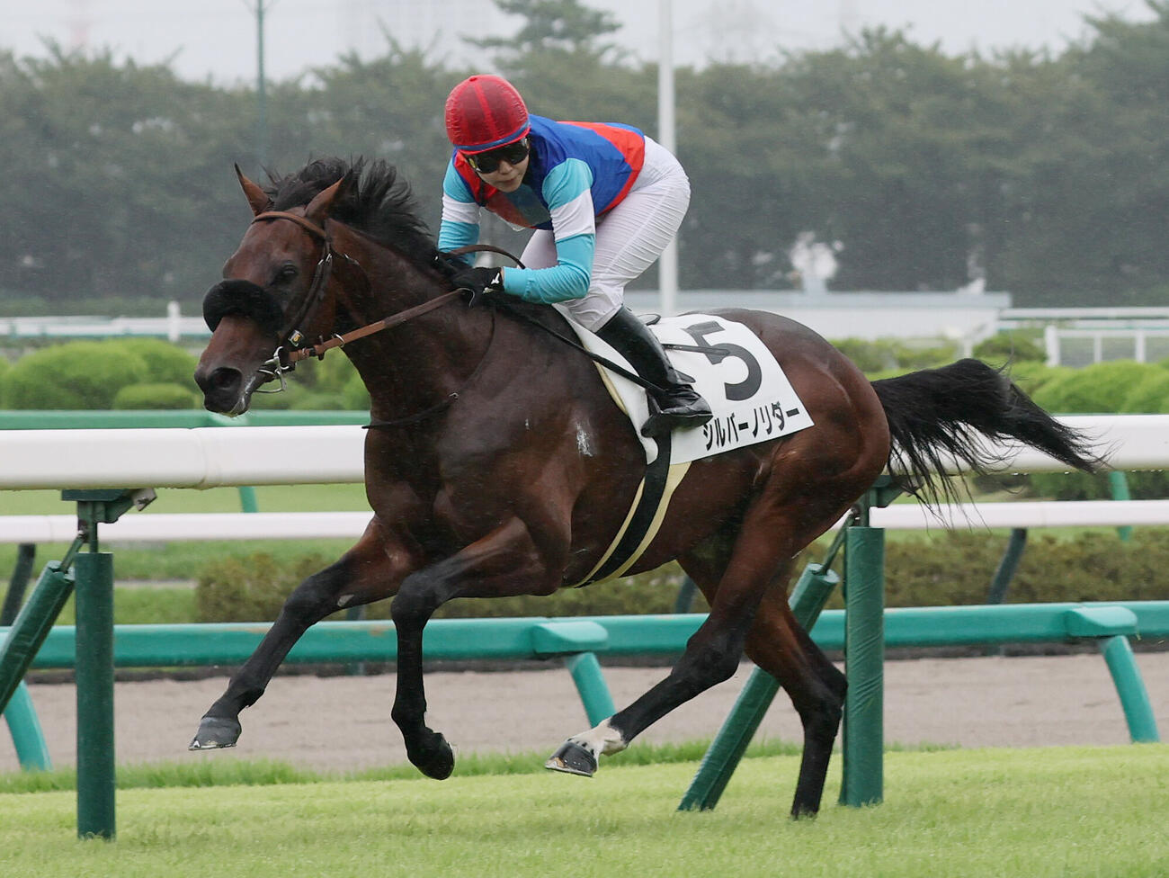 中山4R、2歳新馬戦を快勝したシルバーノリダーと小林美駒騎手（撮影・丹羽敏通）