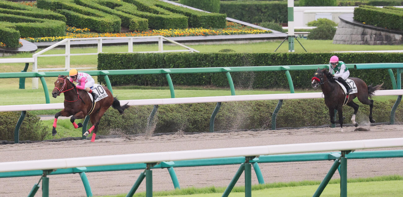 中山6R、2歳新馬戦を制したユウライクスターとクリストフ・ルメール騎手（左）（撮影・丹羽敏通）