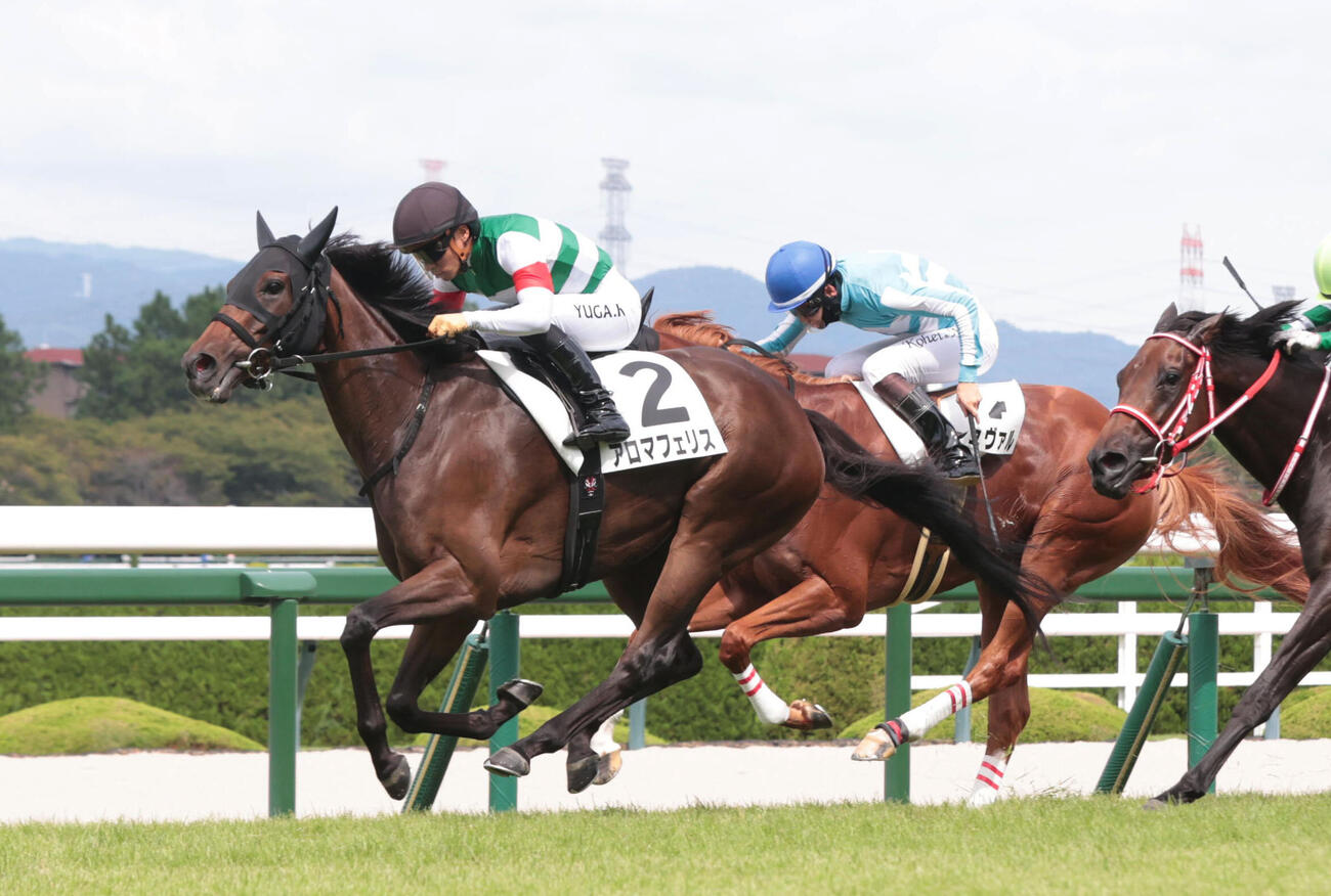 3歳以上1勝クラスを制した川田騎手騎乗のアロマフェリス（左）（撮影・石井愛子）