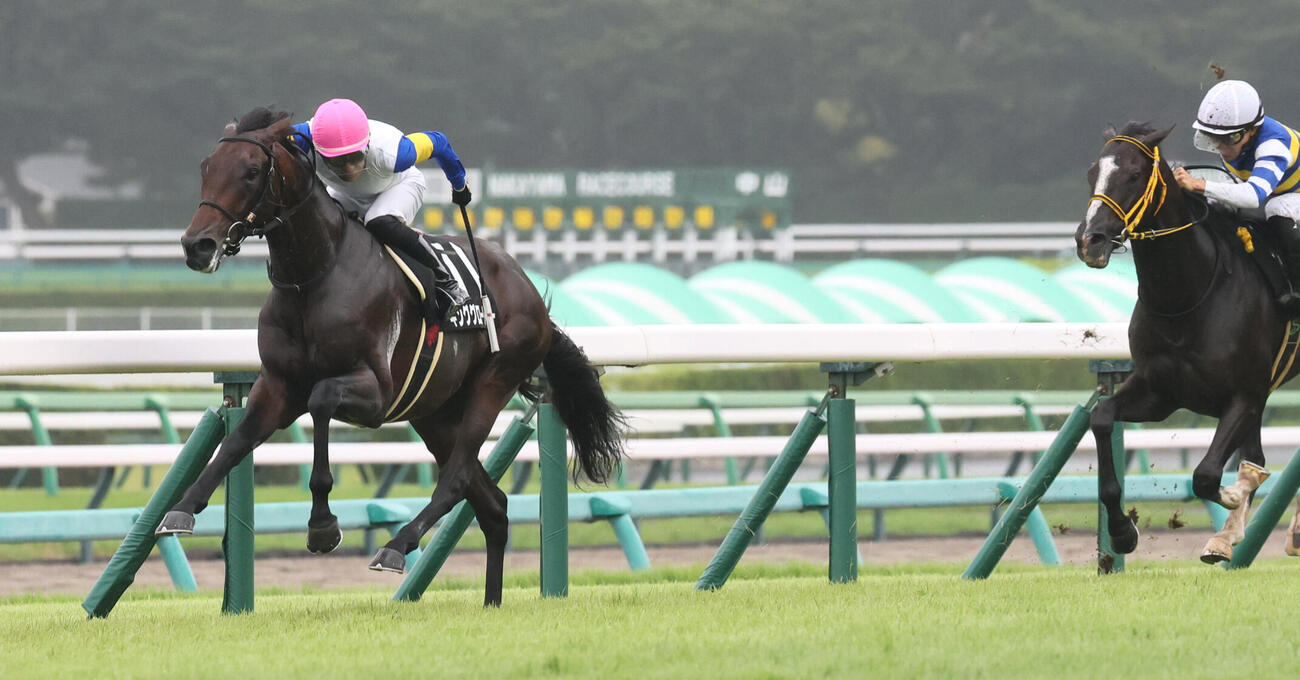 九十九里特別を逃げ切ったキンググローリーと丹内祐次騎手（撮影・丹羽敏通）