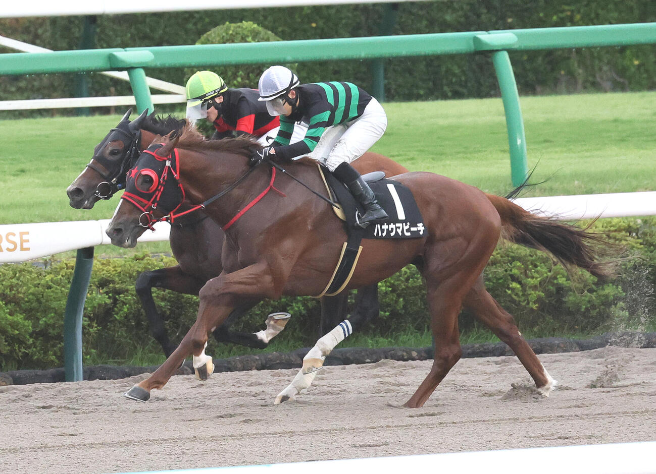 ながつきSを制したハナウマビーチと横山琉人騎手（手前）（撮影・丹羽敏通）