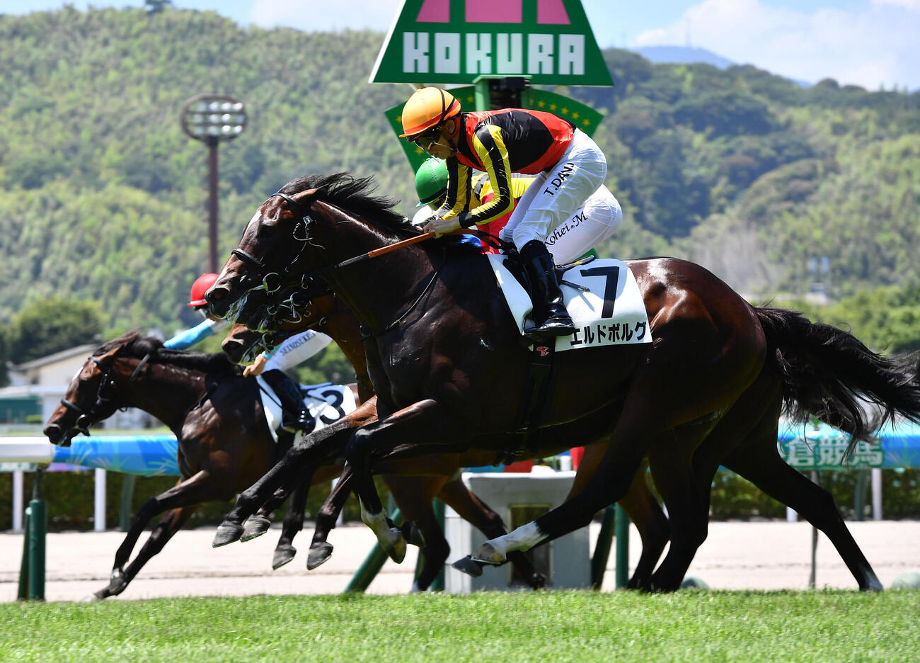 7月12日小倉5R新馬戦を制したエルドボルグ