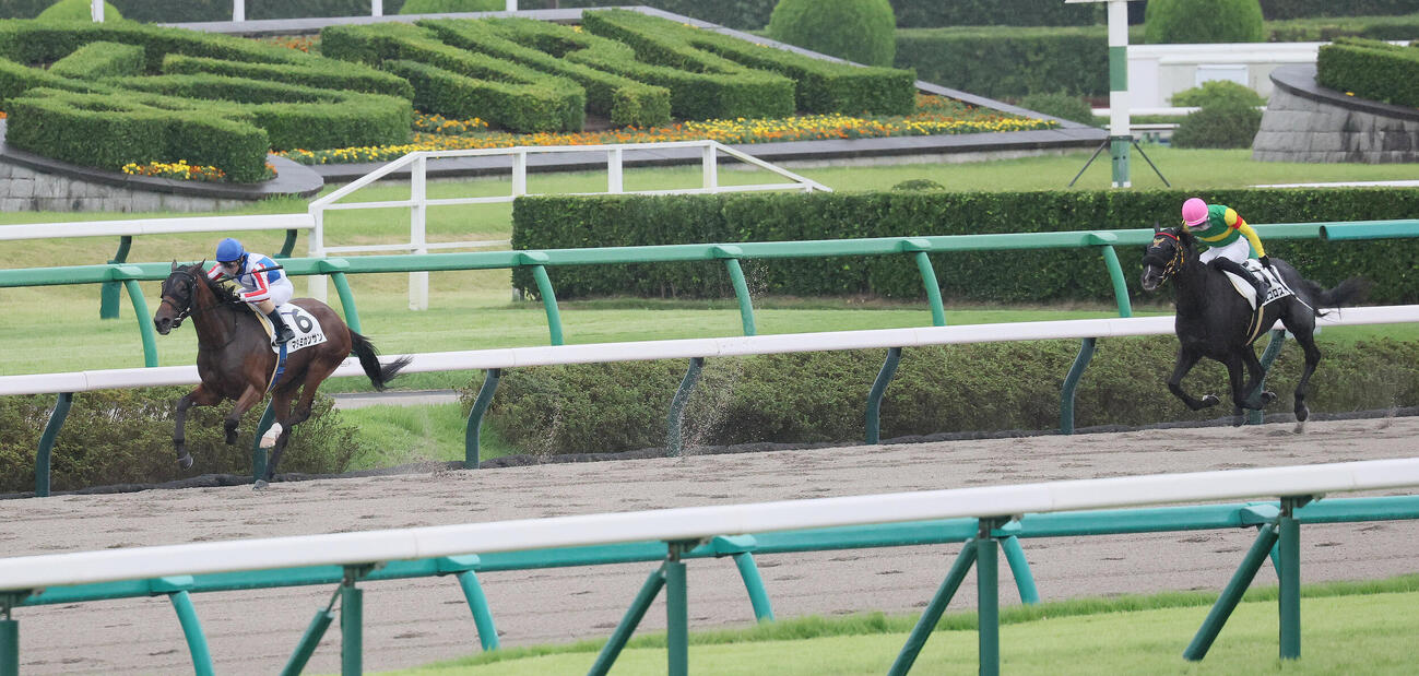 中山8R、3歳上牝馬限定の1勝クラスを制したマタミカンサンとルメール騎手（撮影・丹羽敏通）