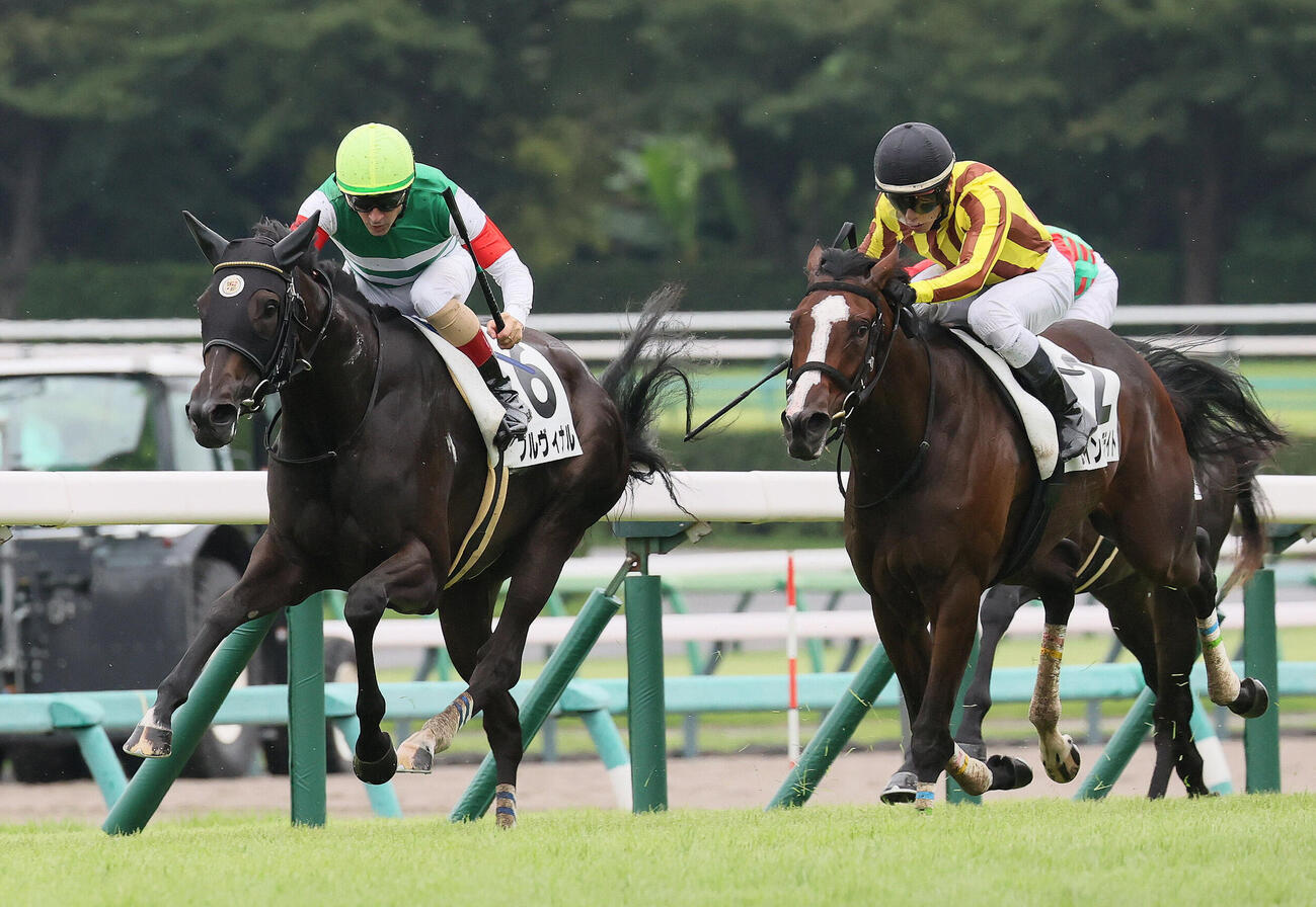 中山5R、2歳新馬戦を制したプルヴィナルとルメール騎手（左）（撮影・丹羽敏通）