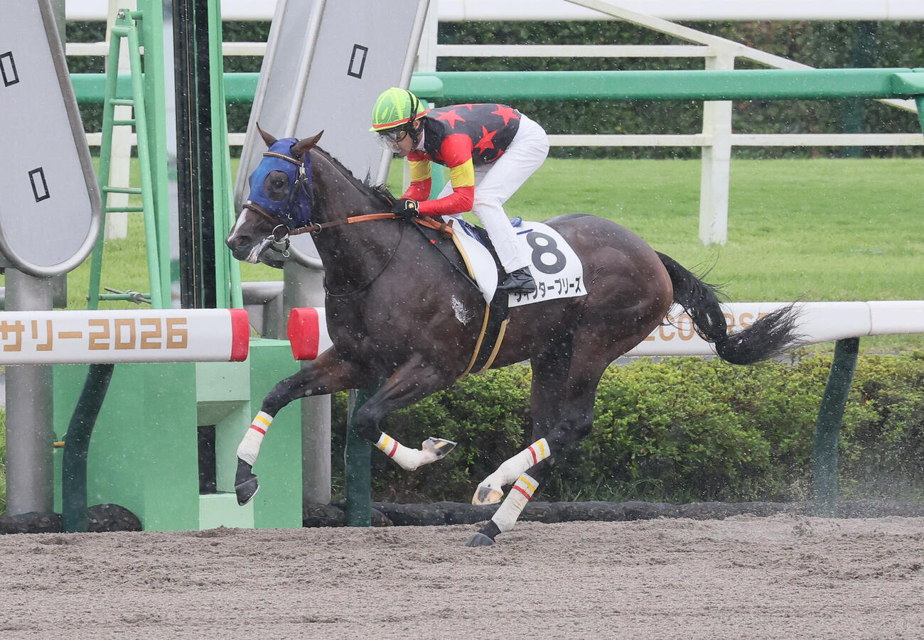 中山1R、2歳未勝利戦を制したウィンターブリーズとクリストフ・ルメール騎手（撮影・丹羽敏通）