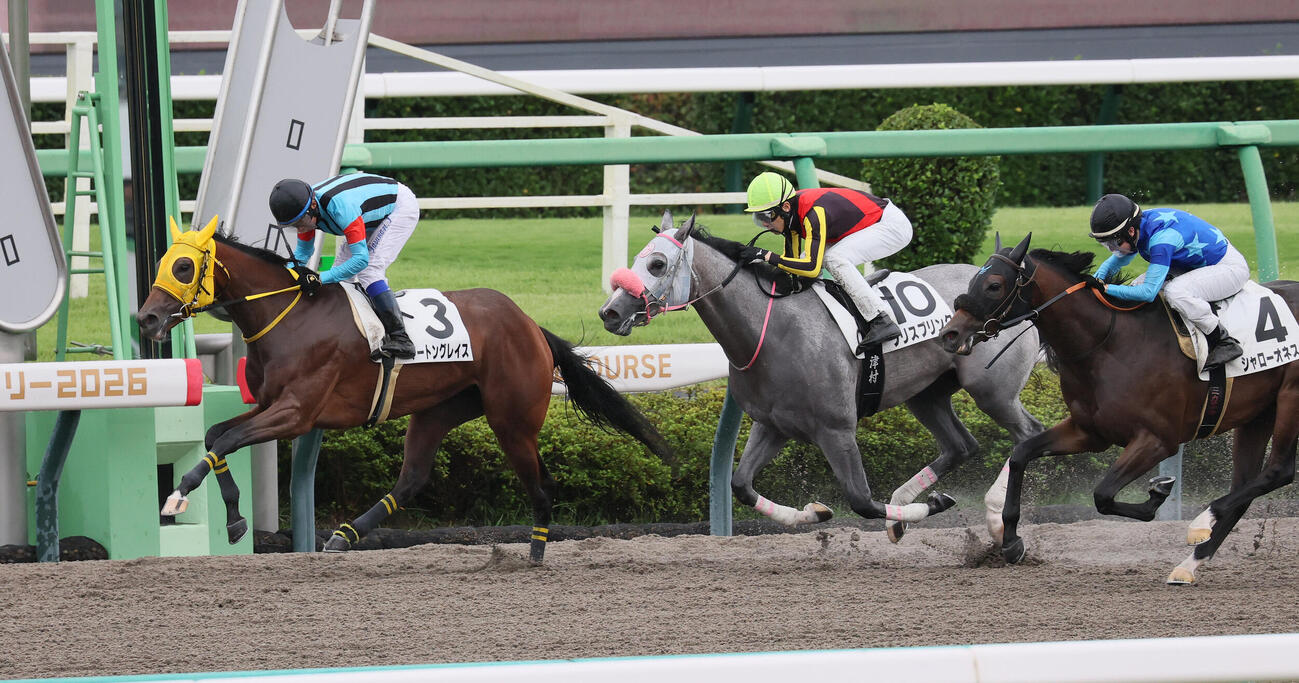 中山4R、2歳新馬戦を制したマートングレイスと岩田康誠騎手（撮影・丹羽敏通）