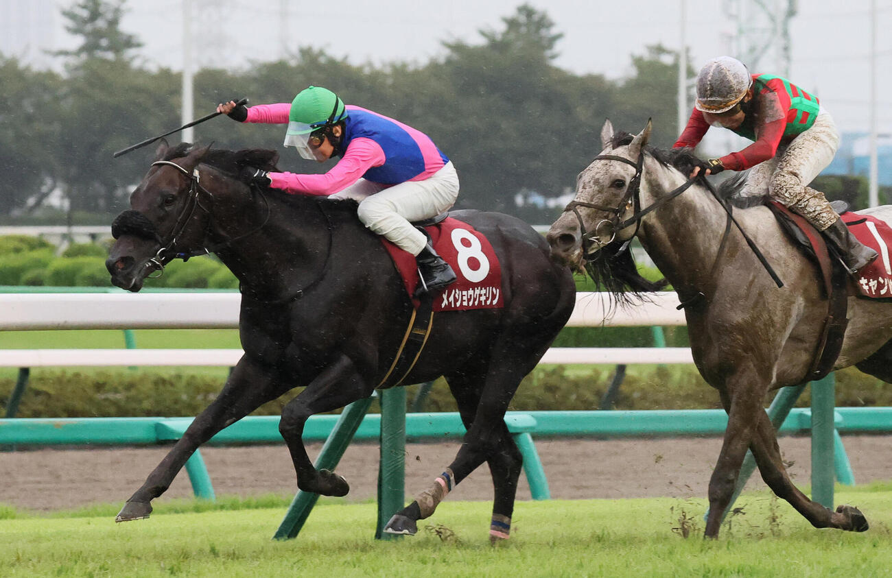オールカマーを制したメイショウゲキリンと田辺裕信騎手（左）