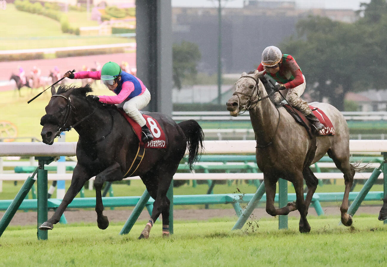 オールカマーを制したメイショウゲキリンと田辺裕信騎手（左）。右は2着キャントウェイト