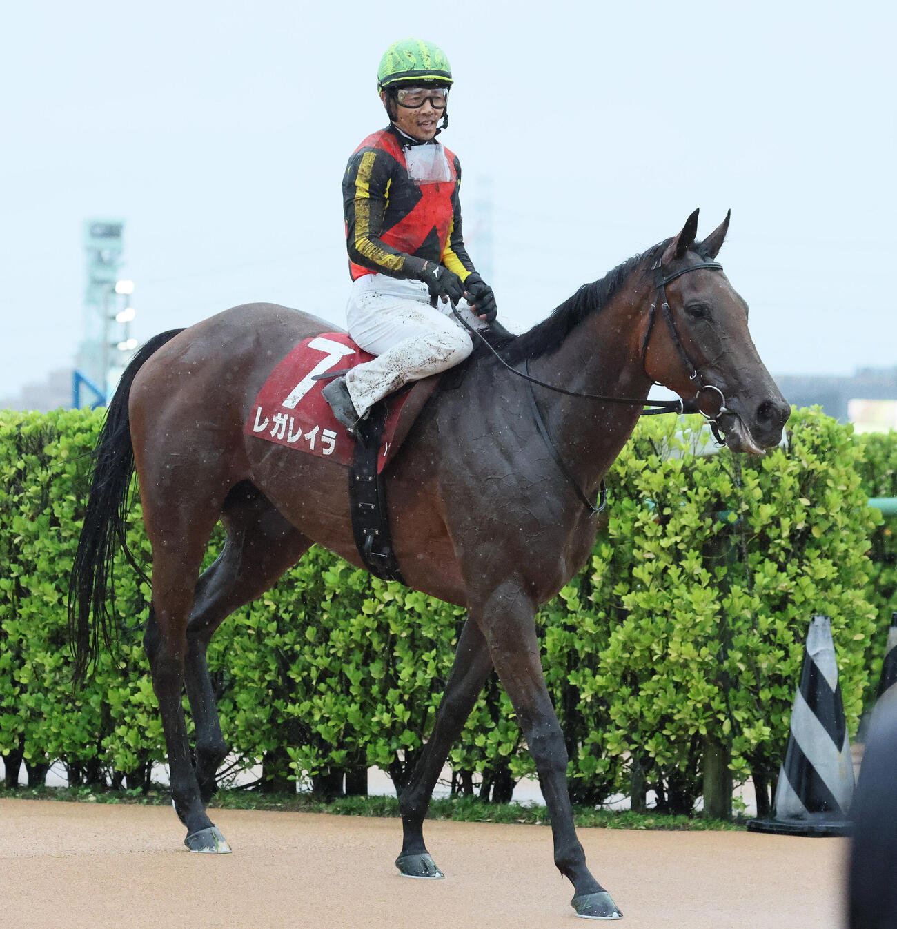 オールカマーで1番人気に応えられず4着に敗れたレガレイラと戸崎圭太騎手