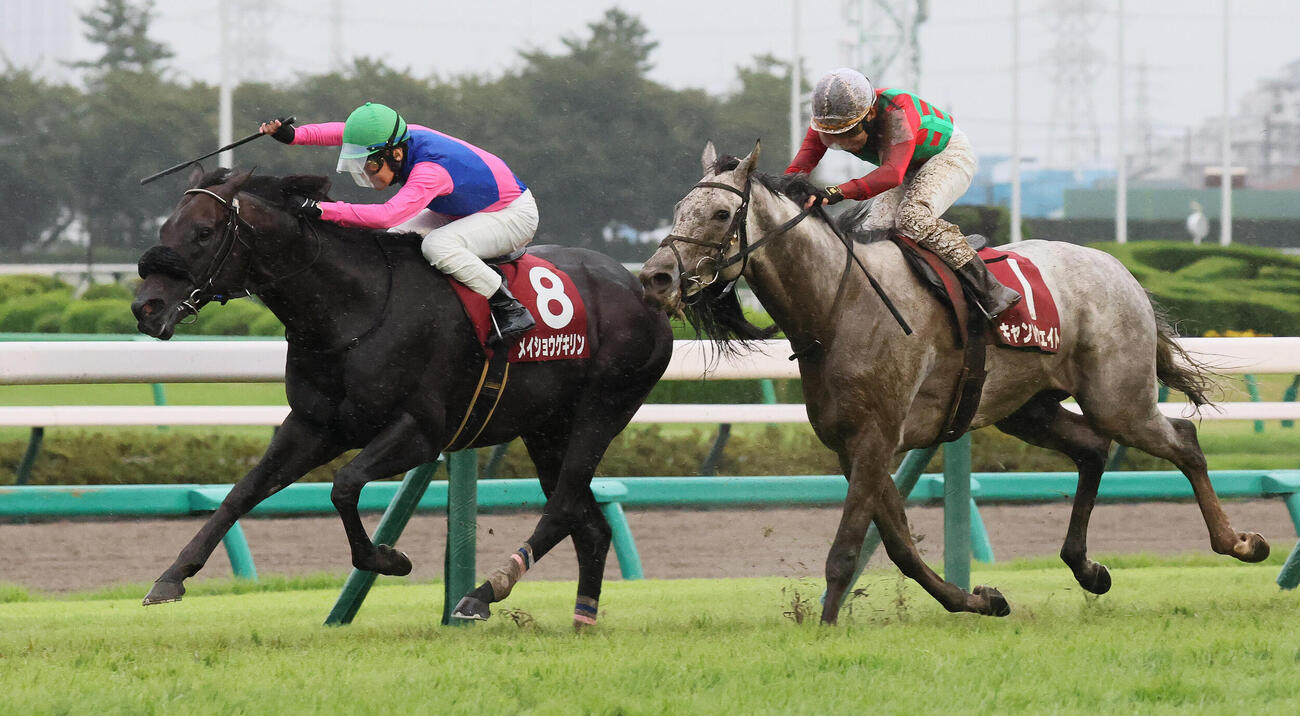 メイショウゲキリンが制したオールカマー（撮影・丹羽敏通）