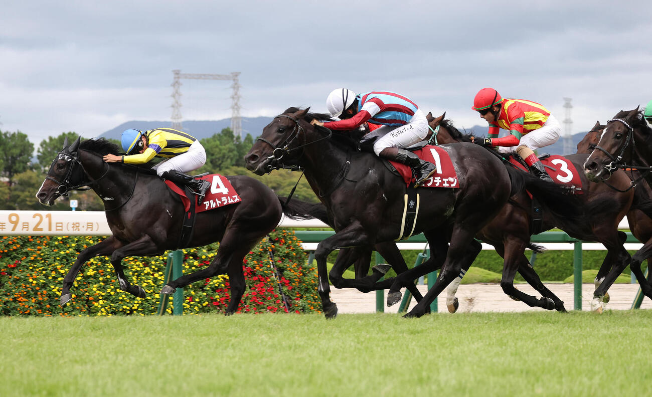 内から抜け出したアルトラムス（左）を鼻差捉えて神戸新聞杯を制したロブチェン（撮影・白石智彦）