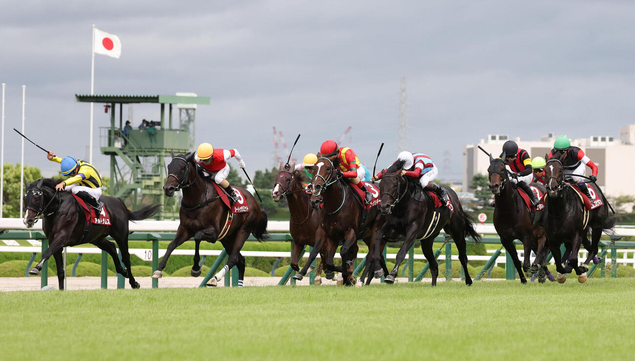 ロブチェンが制した神戸新聞杯（撮影・白石智彦）