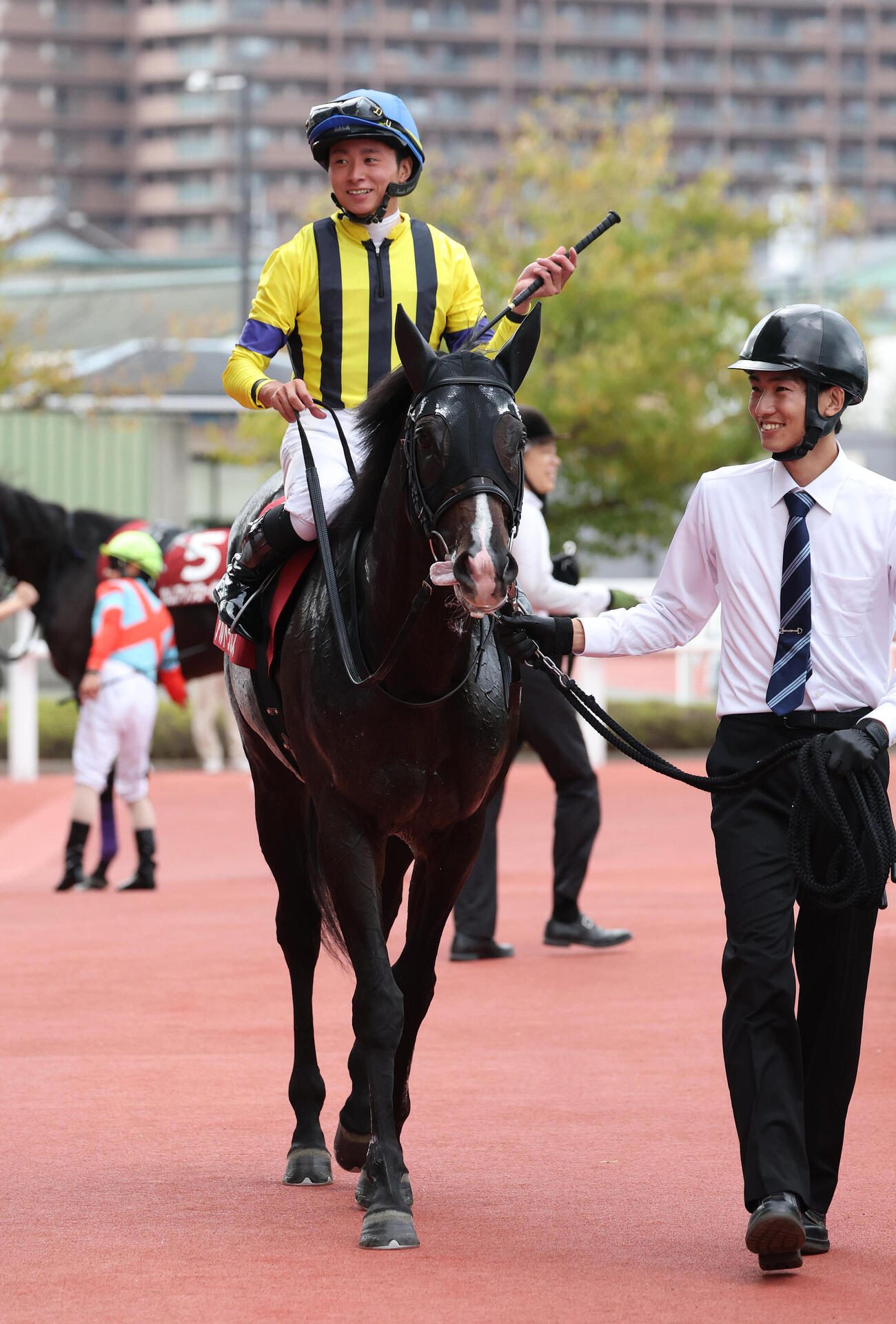 神戸新聞杯2着に入り菊花賞の優先出走権を獲得したアルトラムス（撮影・白石智彦）