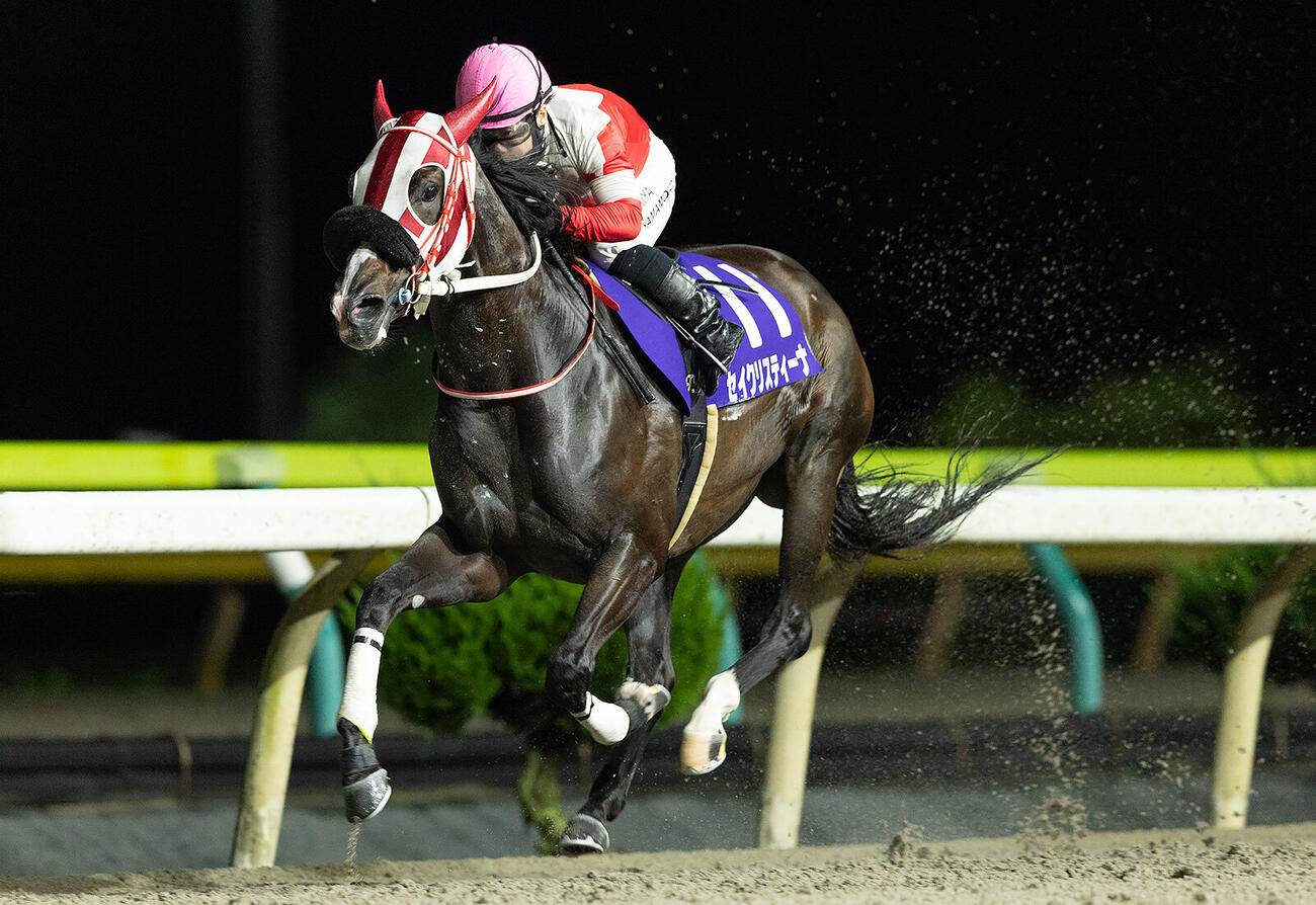 圧勝で岩手3歳牝馬3冠を達成したセイクリスティーナ（提供・岩手県競馬組合）