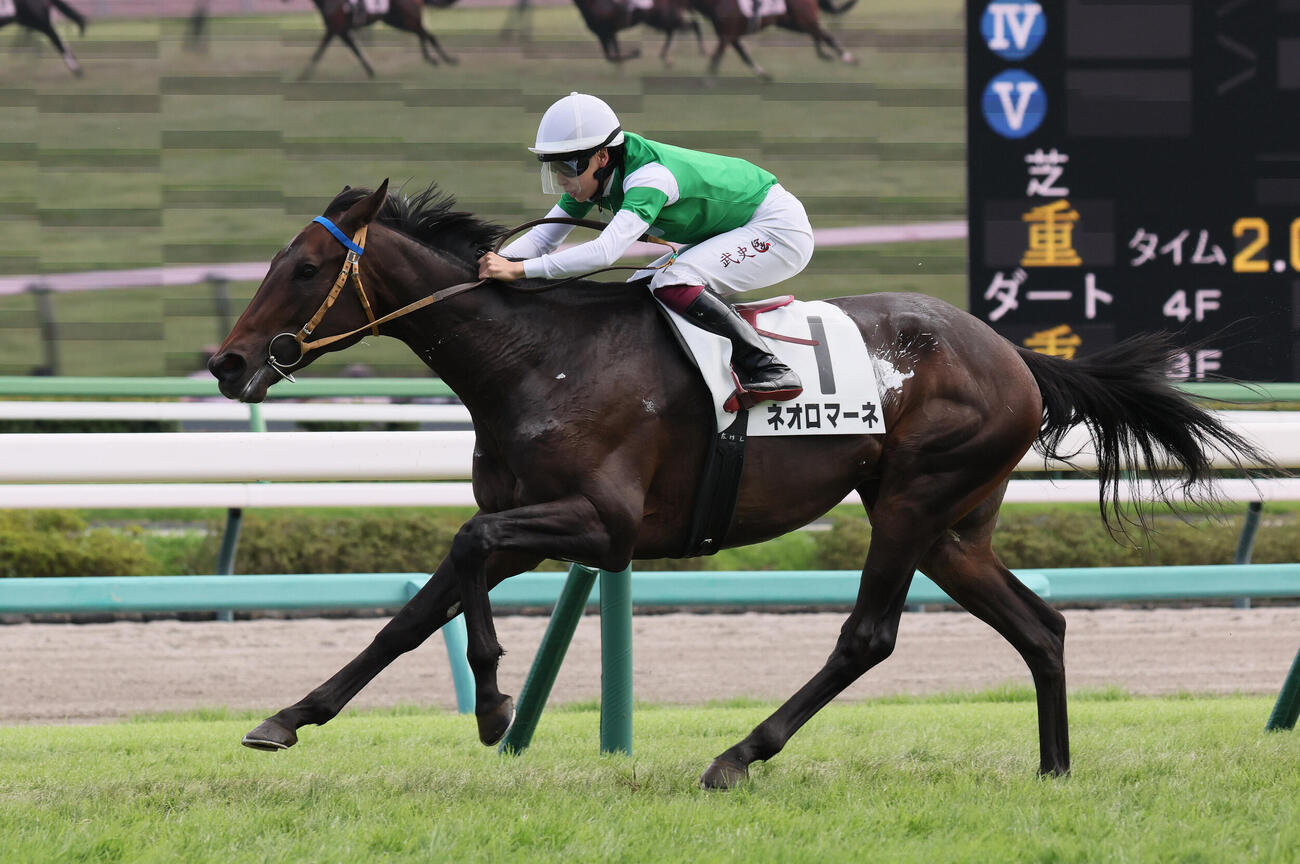 中山6R、2歳新馬戦を制したネオロマーネと横山武史騎手（撮影・丹羽敏通）