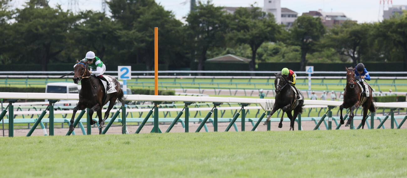 中山6R、2歳新馬戦を快勝したネオロマーネと横山武史騎手（撮影・丹羽敏通）