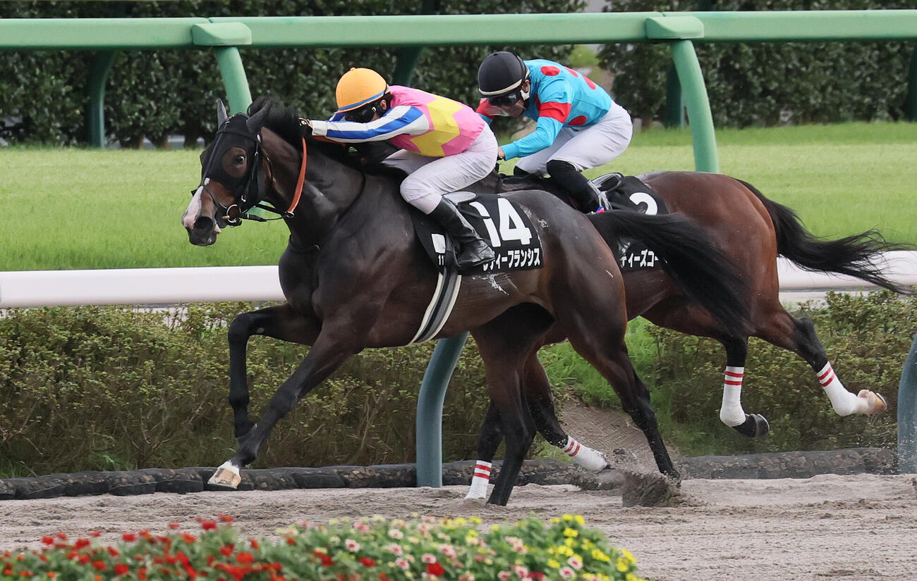 JRAアニバーサリーSに勝利したレディーフランシスと大野拓弥騎手（撮影・丹羽敏通）