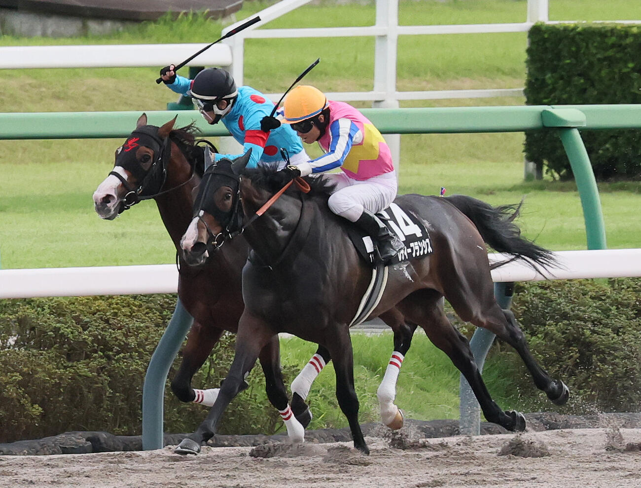 ディーズゴールド（奥）との競り合い制しJRAアニバーサリーSに勝利したレディーフランシスと大野拓弥騎手