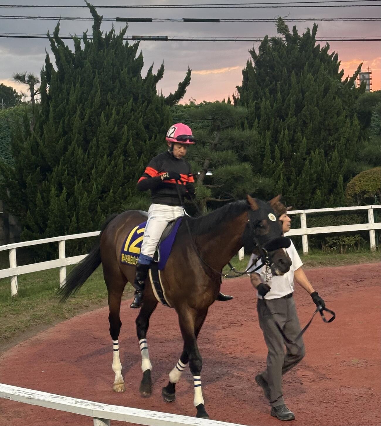 白山大賞典のレース前にパドックを周回するホウオウルーレットと岩田康騎手