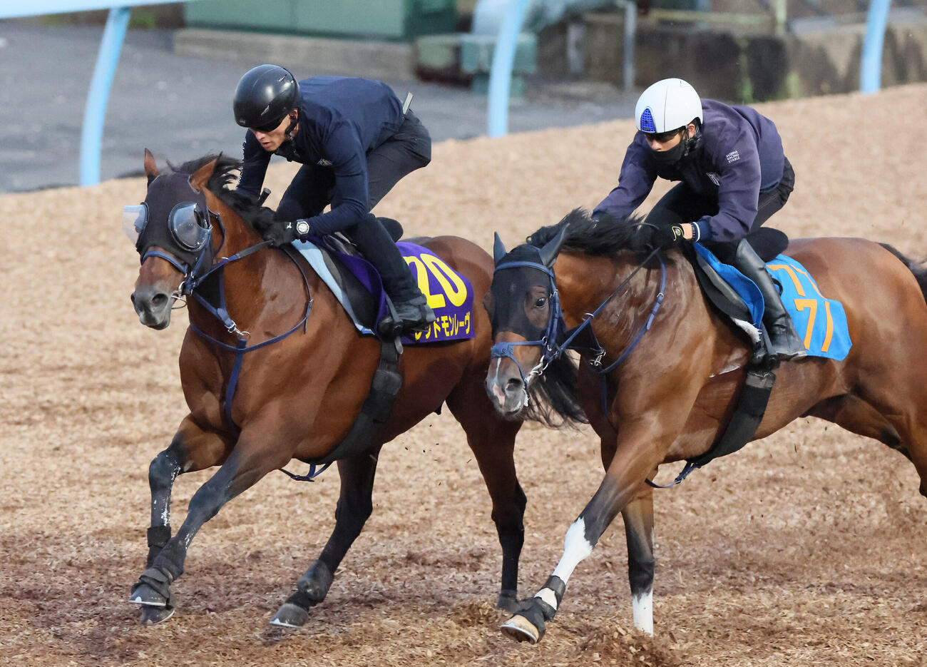 レッドモンレーヴ（左）は美浦ウッドをメイショウソムリエと併せて追い切られた（撮影・丹羽敏通）