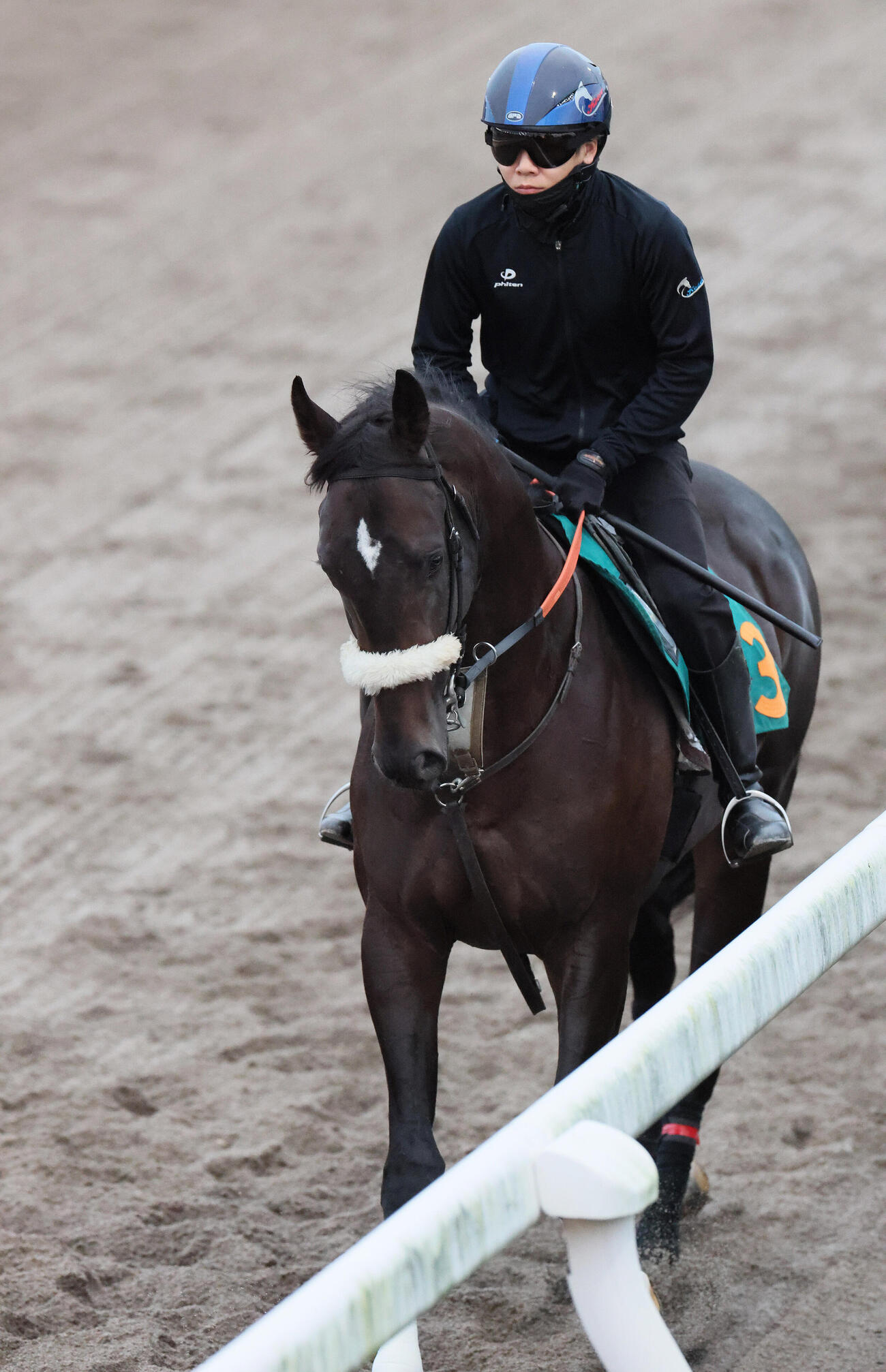 三浦皇成騎手を背にダートコースで運動するジョドレルバンク（撮影・丹羽敏通）