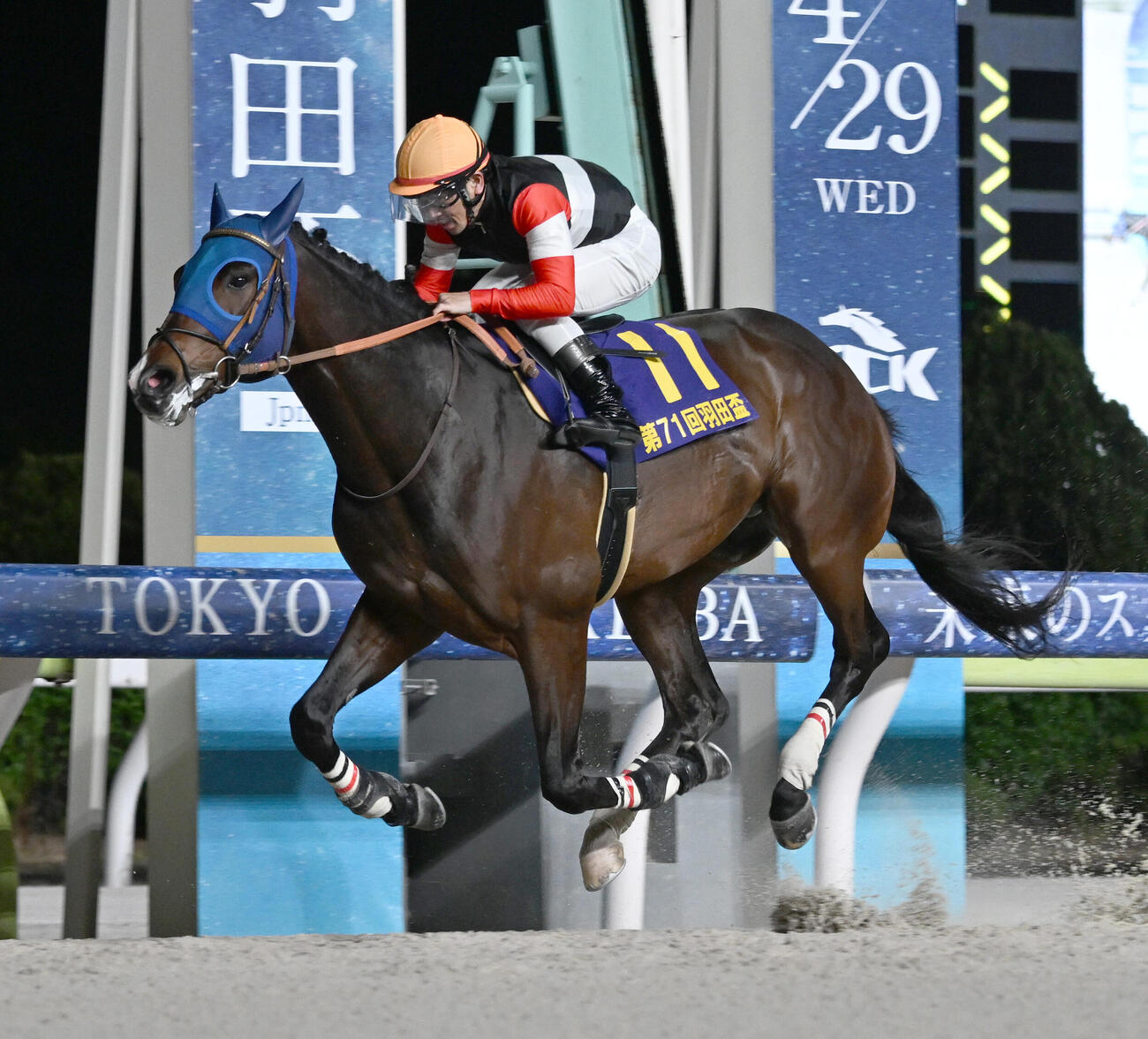 羽田盃を制したフィンガーと戸崎圭太騎手（2026年4月撮影）