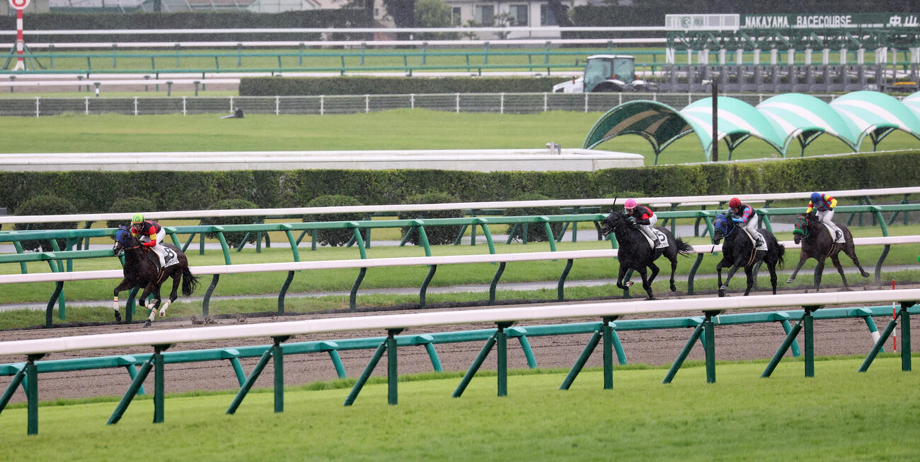 20日、2歳未勝利戦を制したウィンターブリーズ（撮影・丹羽敏通）