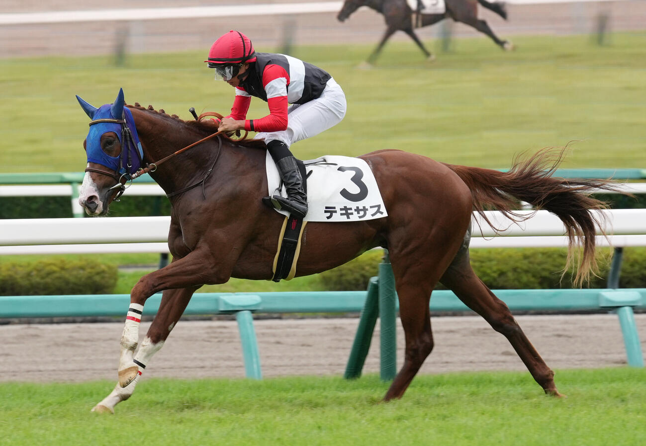 9月13日、2歳未勝利戦を制したテキサス
