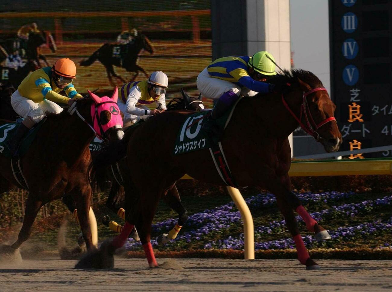 第18回根岸Sを制したシャドウスケイプ、2着ヒューマ（左端）（2004年01月31日撮影）