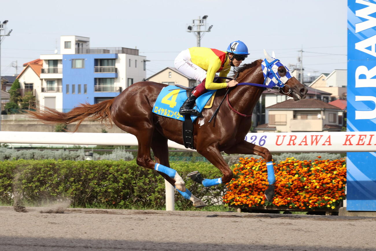 デビュー戦を制したロイヤルエンペラーと笹川翼騎手