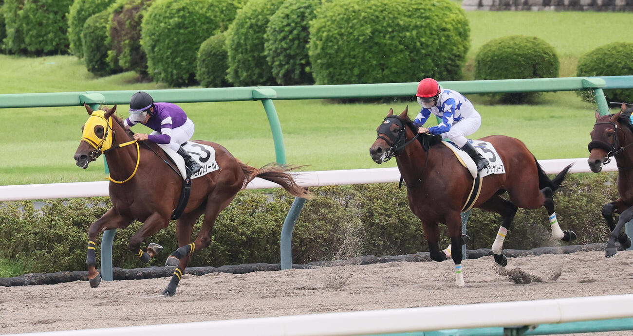 中山3R、2歳新馬戦を制したモルスリールと戸崎圭太騎手（左）（撮影・丹羽敏通）