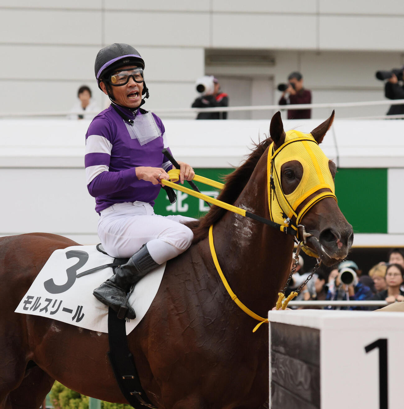 中山3R、2歳新馬戦を制したモルスリールと戸崎圭太騎手（撮影・丹羽敏通）