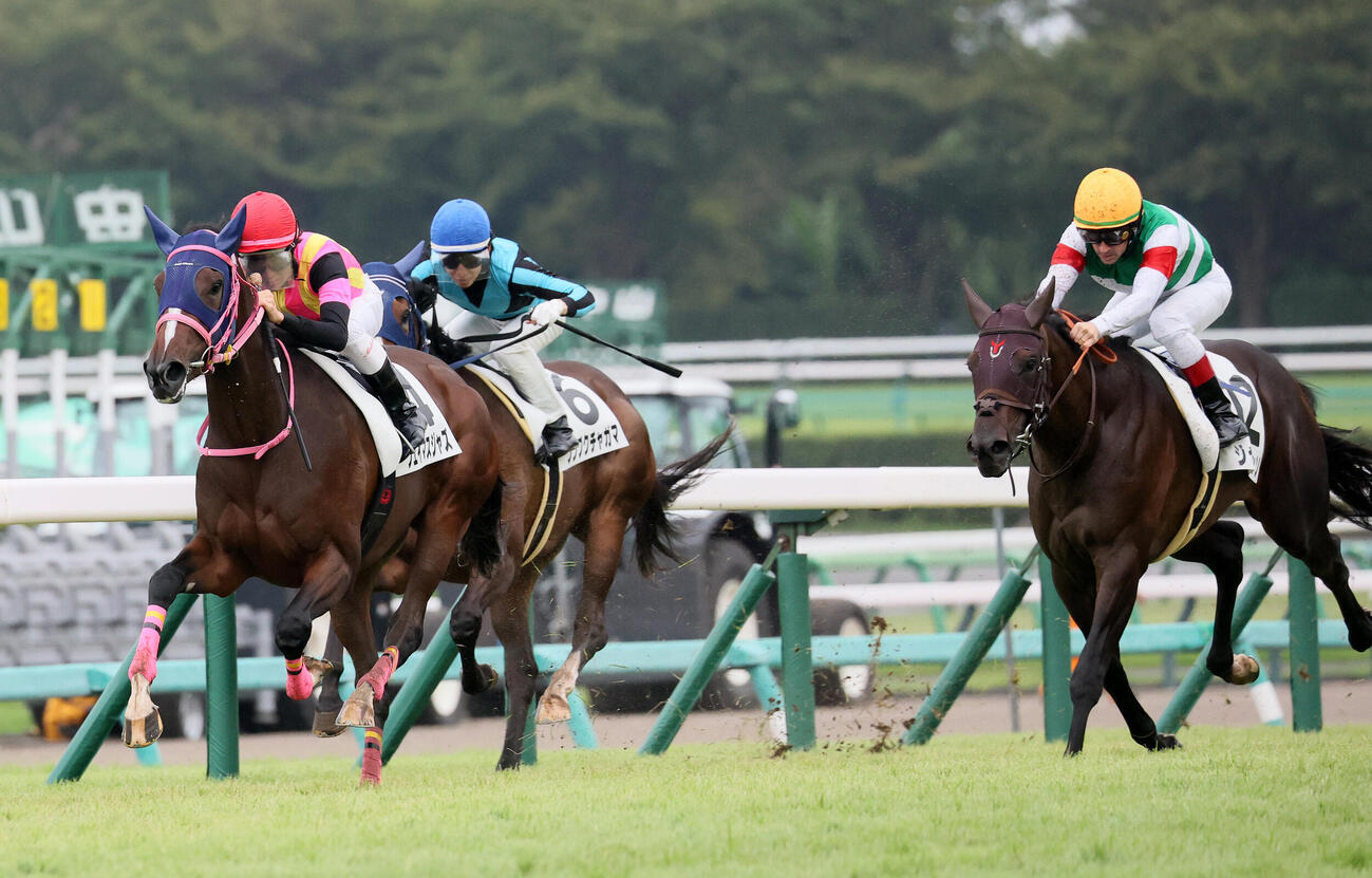 中山5R、2歳新馬戦を制したフェイマスジャズと杉原誠人騎手（左）。右は2着ジャロロッソ（撮影・丹羽敏通）