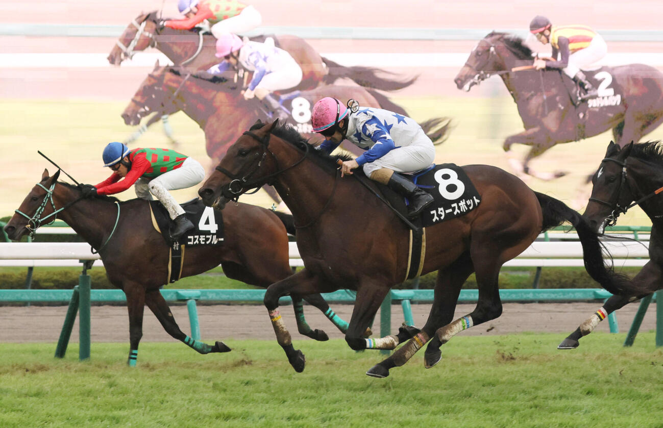 直線外から伸びて芙蓉Sを制したスタースポットとC・ルメール騎手（撮影・丹羽敏通）