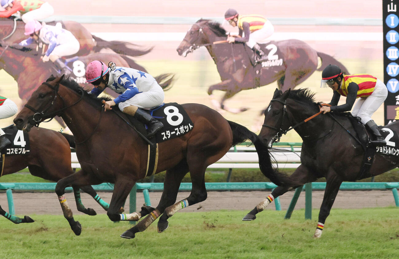 芙蓉S3着に敗れたジョドレルバンク（右）。左は勝ったスタースポット（撮影・丹羽敏通）