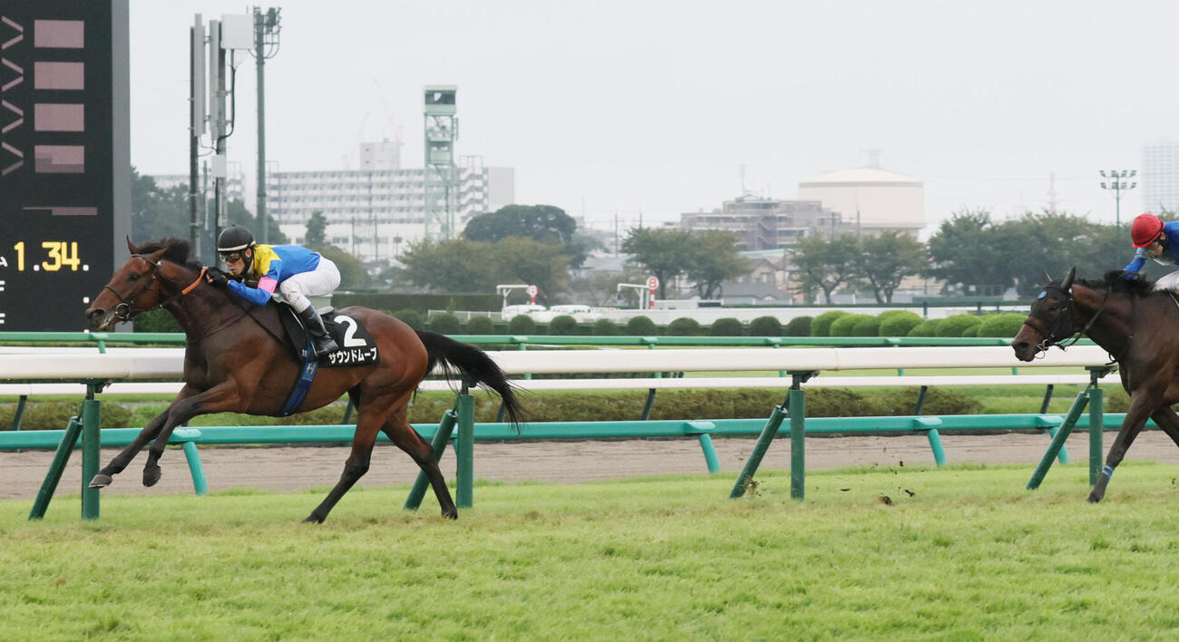 秋風Sを快勝したサウンドムーブと津村明秀騎手（左）（撮影・丹羽敏通）