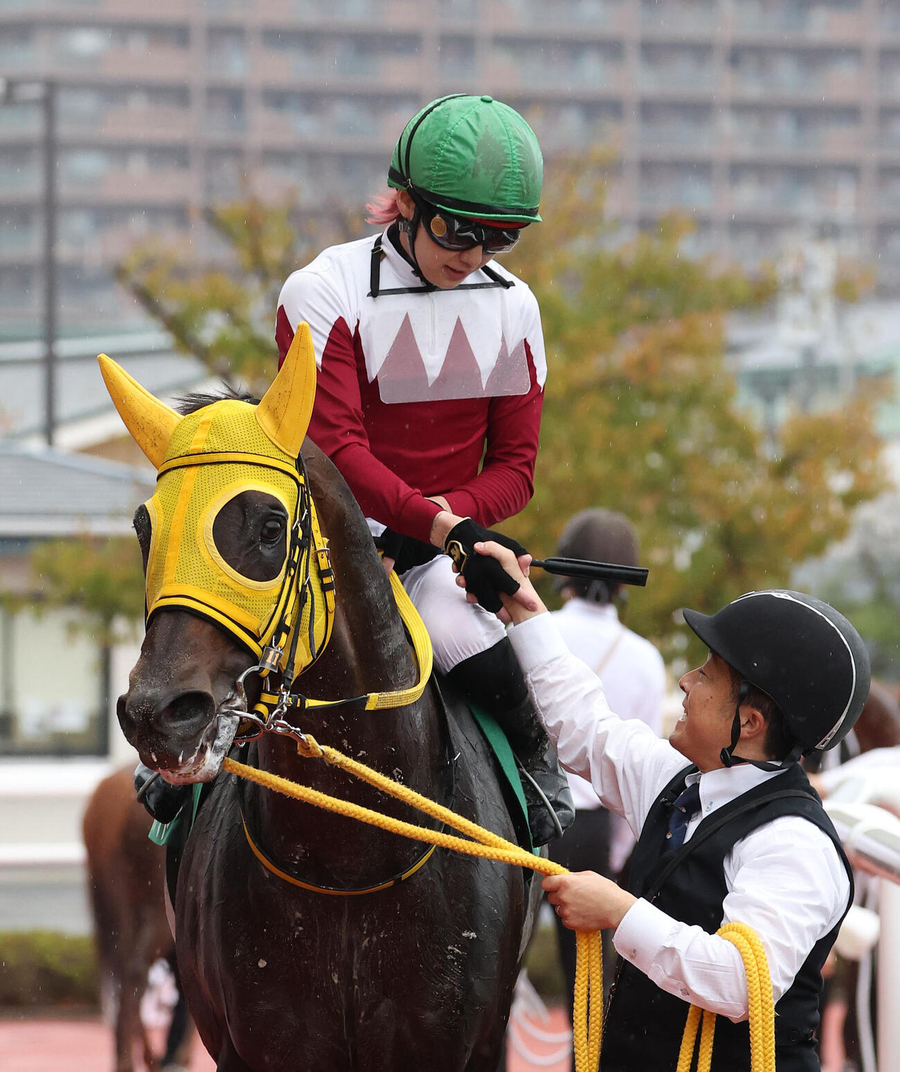 阪神11R、ヴァルツァーシャルでシリウスSを制し握手を交わして引き揚げる斉藤新騎手（撮影・白石智彦）