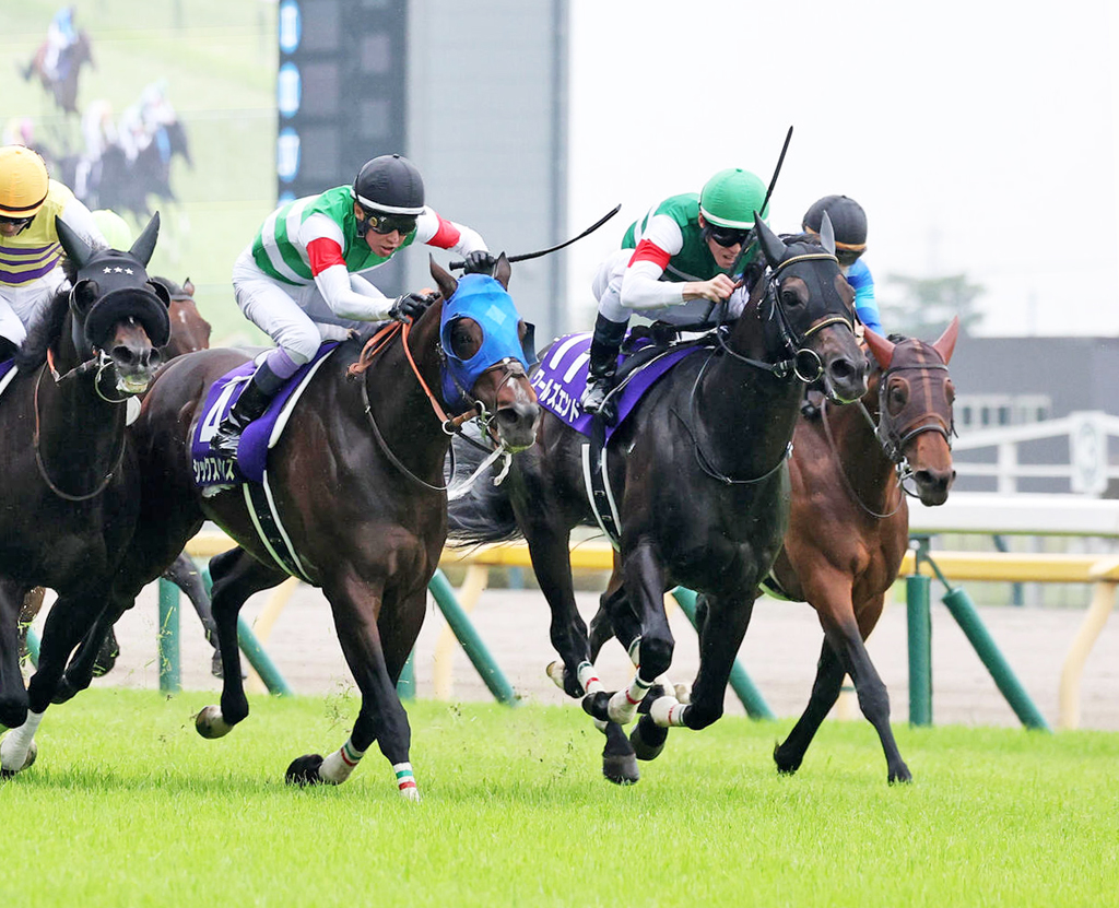 安田記念2着に敗れたワールズエンド（右から2頭目）